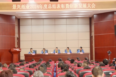 乘风破浪 逐梦前行 | 恒峰g22纸业2024年度总结表彰暨创新发展大会隆重召开