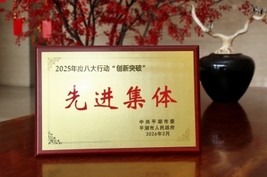 策马扬鞭启新程！恒峰g22纸业在平湖市三级干部大会上荣获“创新突破”双项荣誉